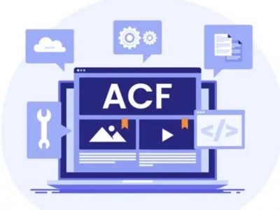 自定义文章字段-ACF插件